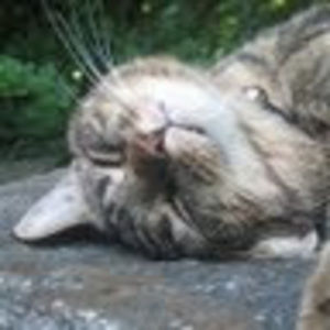 Meet your Posher, Lydia